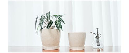 Docrin Ceramic Plant Pots Indoor, 6.6 + 5.5 Inch Planters with Drainage Holes and Saucer for Home/Office - Set of 2 /White - color: Creamy-white