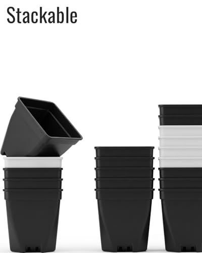 1.5-Inch Nursery Pots, Thick-Walled PP Plastic, for Home, Office & Garden, Seed Starting & Propagation (48, Black) - color: Black