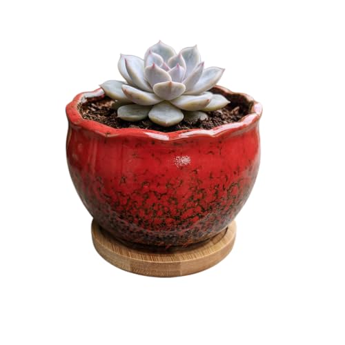 Cute 3.9 Inch Ceramic Home Garden Decoration Succulent Cactus Flower Pots Container -Plant Not Included，Red - color: Red
