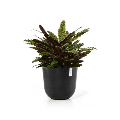 Ecopots Oslo Round Flower Planter, Dark Grey, 17.75" - color: Dark Grey, size: 17.5"