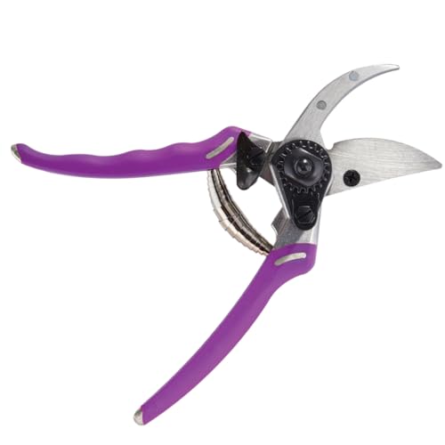 ColorPoint Bypass Pro Pruner - color: Berry, style: Modern
