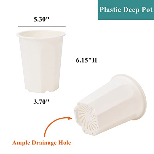 10 Pack 5.30 Inch White Plastic Deep Nursery Pot and Seedling Planter for Succulent, Cutting, Transplanting - color: White, size: 5.30 inch
