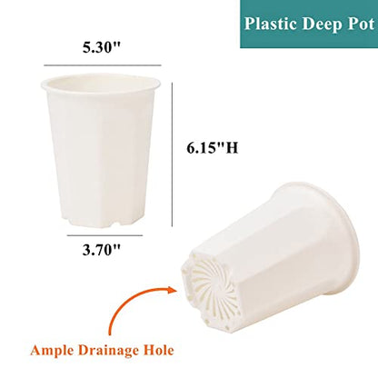 10 Pack 5.30 Inch White Plastic Deep Nursery Pot and Seedling Planter for Succulent, Cutting, Transplanting - color: White, size: 5.30 inch