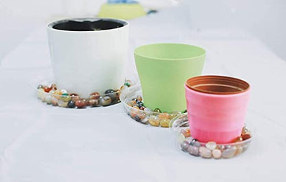 TRUEDAYS 20 Pack 6 Inch Plant Saucers Clear Plant Saucers Flower Pot Plastic Drip Trays Excellent for Indoor & Outdoor Plants - size: 20-Pack (6'' Only)