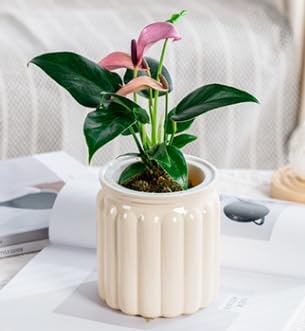 2PCS Self Watering Planters 4.5 Inch Self Watering Pots for Indoor Plants, African Violet Pots with Wick Rope, Flowers, Succulents, Herb, House Plants - color: Beige