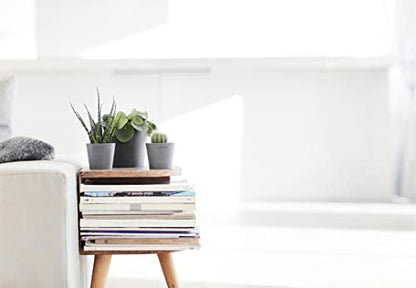Ecopots Amsterdam Mini Round Flower Planter, Grey, 4" - color: Gray, size: 4 Inches