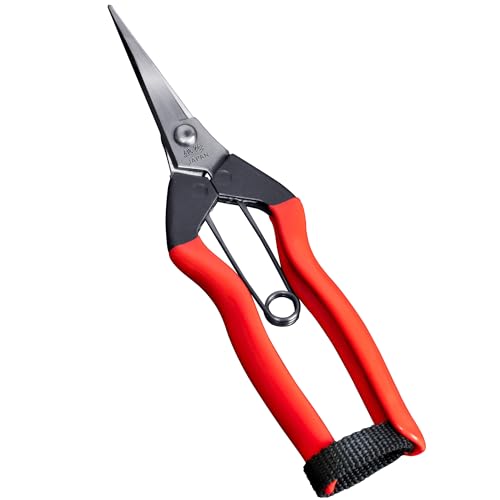 Japanese Garden Shears 7.2" for Plants - Trimming Scissors Precision Pruning Shears with Pointed Tips - Sharp Japanese Stainless Steel Blade & Spring Loaded Handle - Made in Japan - style: Trimming