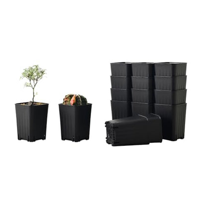 16 Pack 3.20 Inch Small Black Plastic Square Nursery and Seedling Pot, Deep Transplant Seed Starter Planter with Drain Hole for Germination, Herb, Succulent - color: Black