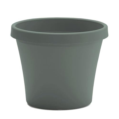 Bloem Terra 4" Plastic Planter, 0.25 Gallon, Basil, 10-Pack - color: Basil, size: 4" (Pack of 10)