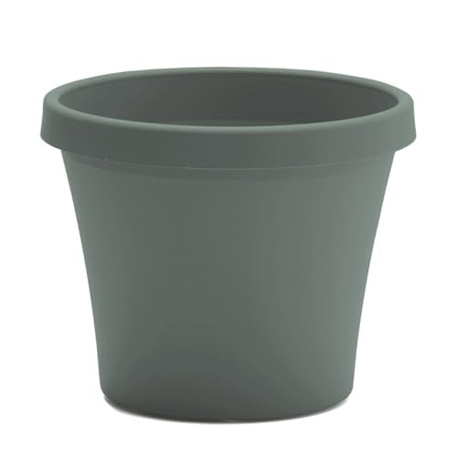 Bloem Terra 6" Plastic Planter, 0.5 Gallon, Basil, 10-Pack - color: Basil, size: 6" (Pack of 10)