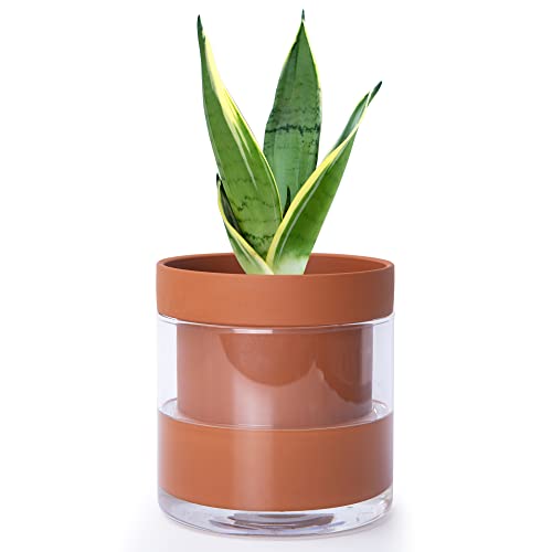 Phoenix Vine 6 Inch Self Watering Planter Pot, Terracotta Clay Pot with Glass Reservoir for Indoor Plants, Herbs, Flowers, Set of 1, 52-A-F-1 - color: Terracotta, size: 6" (1 Pack)