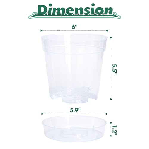 6 Inch Clear Plastic Plant Pot with Drainage Holes, Interlocking & Detachable Tray - Deep Saucer - Durable BPA-Free Plastic, Transparent Design, Raised Base for Airflow, Set of 6, 92-X-A-5 - size: 6" x 5.5"