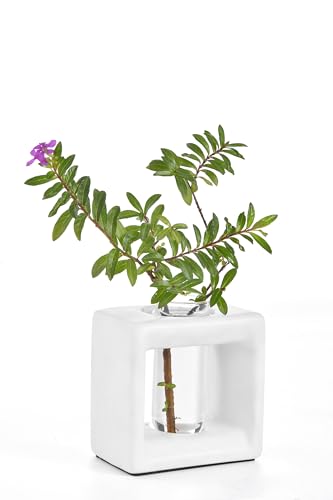 ORGJ Ceramic Propagation Station - 2-in-1 Water Propagation Vase & Aroma Diffuser for Plants, Geometric Propagation Tubes with Plant Rooting Containers, Modern White Decor - color: White Square