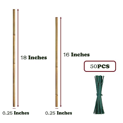 Plant Stakes 50Pcs 18IN,POLIUMB Premium Natural Bamboo Stakes Garden Stakes - size: 18Inches