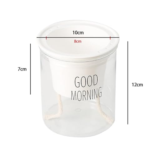 2PCS Self Watering Planters 4.71 Inch Self Watering Pots for Indoor Plants, African Violet Pots with Wick Rope, Flowers, Succulents, Herb, House Plants - color: Transparent
