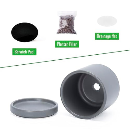 D'vine Dev 2-Pack Ceramic Pots with Saucers, Grey, 3.5 in, 94-V-A-3 - color: Gray, size: 3.5 Inch