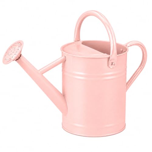 1 Gallon Metal Watering Can for Indoor Outdoor Plants, Pink - color: Pink