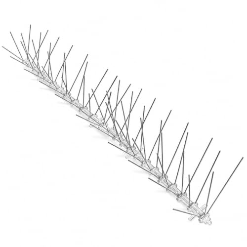 Bird-X Stainless Steel Bird Spikes, 6-Inch Wide 50 Feet Stops Bird Roosting - size: 50 feet