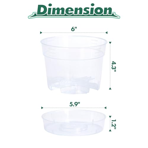 6 Inch Clear Plastic Plant Pot with Drainage Holes, Interlocking & Detachable Tray - Deep Saucer - Durable BPA-Free Plastic, Transparent Design, Raised Base for Airflow, Set of 6, 92-X-A-4 - size: 6" x 4.3"