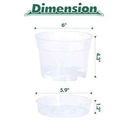 6 Inch Clear Plastic Plant Pot with Drainage Holes, Interlocking & Detachable Tray - Deep Saucer - Durable BPA-Free Plastic, Transparent Design, Raised Base for Airflow, Set of 6, 92-X-A-4 - size: 6" x 4.3"