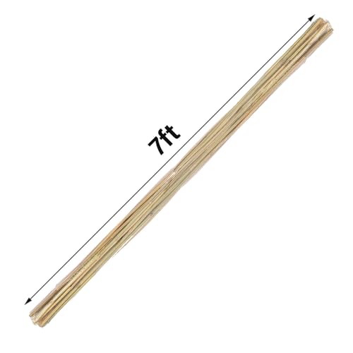 Natural Bamboo Plant Stake（7FT 15Pcs 3/4"） Sturdy Bamboo Poles, Durable Plant Bamboo Stake, Garden Climbing Plant Bracket. - size: 7ft-15PCS