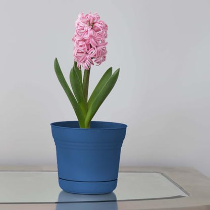Bloem Saturn Planter w/Saucer (SP0733), Classic Blue, 7" - color: Blue, size: 7"