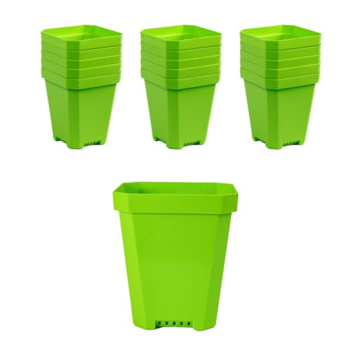 Bootstrap Farmer 16 pc Green Heavy Duty Square 5 in Nursery Pots for Seed Starting Flowers Germination with Drainage Holes - color: Green, size: Pots Only