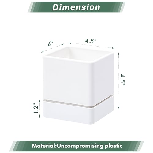 D'vine Dev 6-Pack Plastic Herb Planter Pots, 4 in, White, 76-Y-A6-1 - color: White, size: 24 Inch x 4.5 Inch