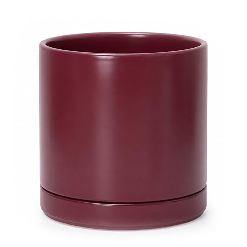 D'vine Dev 10 Inch Ceramic Planter Pot, Cordovan, 94-O-E-4 - color: Cordovan, size: Large