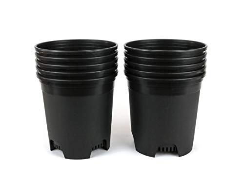 1.5 Gallon Black Nursery Pot Plastic Planters for Outdoor Indoor Plants Gardening Flower Pots 10-Pack 7.5 in Pot Liners with Drainage Holes - color: Black, size: 10-Pack 1.5 Gal