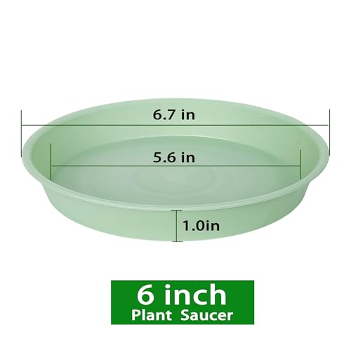 6 Pack of 6 inch Plant Saucer Drainage Tray, 4 5 7 8 10 12 13 15 17 19 inch Plastic Plant Water Tray, Flower Saucers for Indoors, Plant Dishes for Pots Base (6 inch, Light Green) - color: Light Green, size: 6"