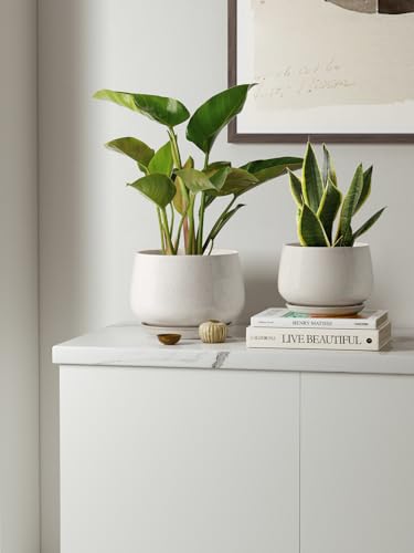 LE TAUCI Plant Pots, 4.1+5.1+6.5 inch, Set of 3, Reactive Glaze Beige - color: Reactive Glaze Beige