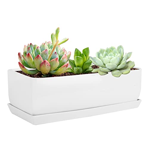 Vencer 14 Inch Rectangular Modern Minimalist Ceramic Succulent Planter Pot - Window Box with Saucer,Office Desktop Potted Stand,White,VF-0173W - color: White, size: 14 Inch