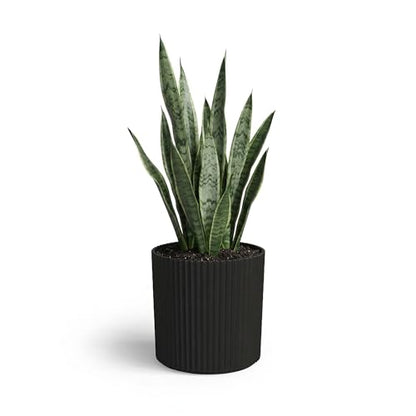 Mayne Haven 10in Round Fluted Modern Planter, Black - color: Black, size: 10in