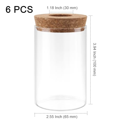PINGEUI 6 PCS Glass Planter Vase, Plant Propagation Terrarium with Cork Lid, Plant Propagation Jars for Succulents, Herbs