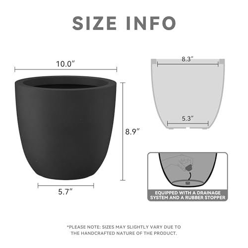 Kante Small Round Bowl Black Concrete Planter 10" Dia, Outdoor - color: Black, size: 10"d