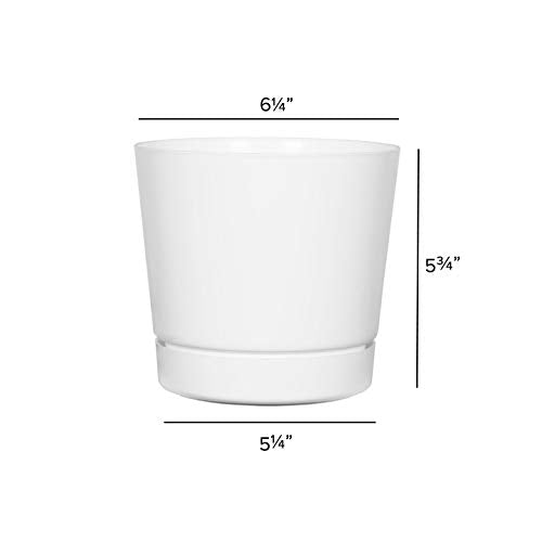 Novelty Majestic Full Depth Round Cylinder Pot, Glossy White, 6-Inch (10062) - color: White, size: 6 Inch