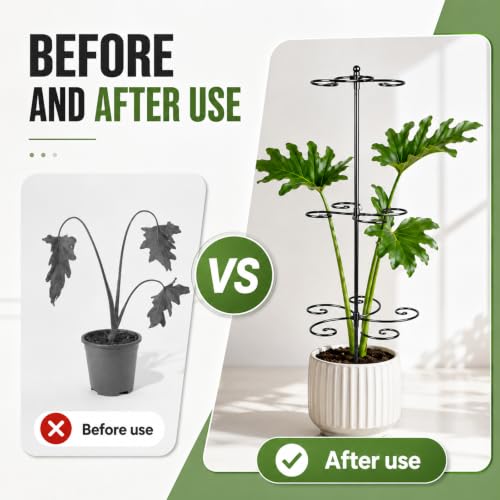GOOXIM Monstera Support 24" Heavy Duty Black Plant Stakes for Indoor Growth - color: Black