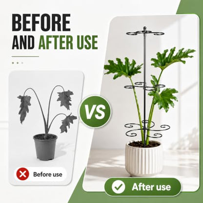 GOOXIM Monstera Support 24" Heavy Duty Black Plant Stakes for Indoor Growth - color: Black