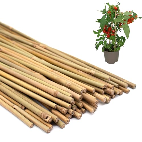 Plant Stakes 50Pcs 16IN,POLIUMB Premium Natural Bamboo Stakes Garden Stakes - size: 16Inches