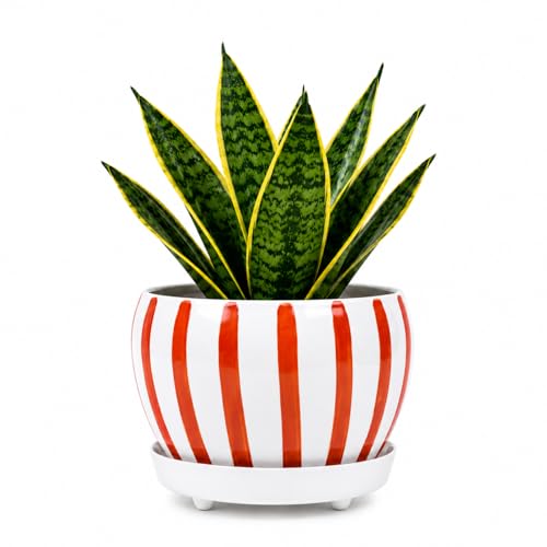 Folkulture Metal Planters for Indoor Plants with Drainage Hole & Saucer - color: Rust & Roast