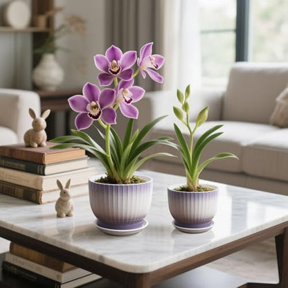 Ceramic Plant Pots, Purple + White, 6.7 + 5.5 Inch, Set of 2 - color: Purple + White