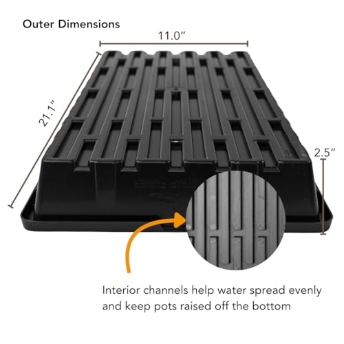 Bootstrap Farmer 1020 Trays (10-Pack), Heavy Duty No-Hole Flats for Microgreens, Fodder & Seedling Propagation - 1.8mm Thick Reusable Plastic - color: Black