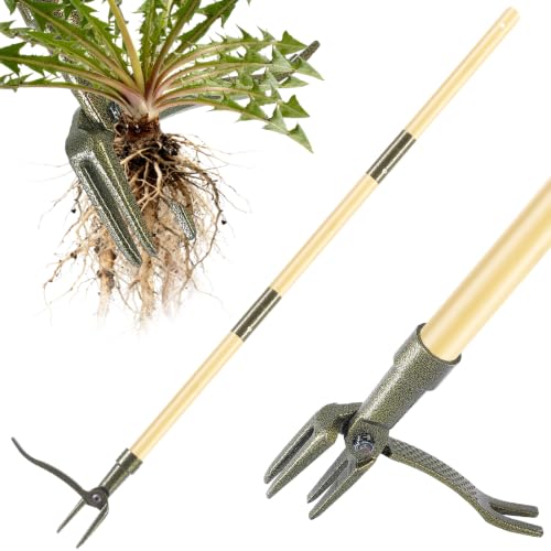 Stand Up Weed Puller Tool with Bamboo Long Handle for Garden - color: Bamboo brown