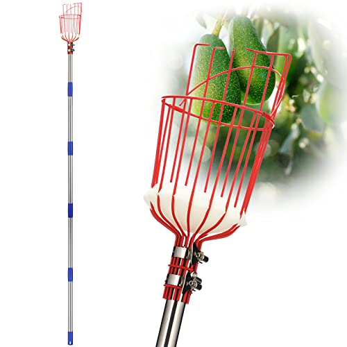 DonSail DnSail Fruit Picker Pole Tool with Basket Telescoping - Adjustable Mango Picker 35-68 inch Long Handle - Apple Orange Avocado Acorn Lemon Pear Pomelo Chery Picker for Tree - size: 35-68"