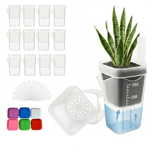 Self watering pots for indoor plant.Clear nursery pots with drainage.12 sets of 2.5-inch transparent flower pots with cotton cores and water level markers. Free 12 labels and trays. (12, Large) - size: Large