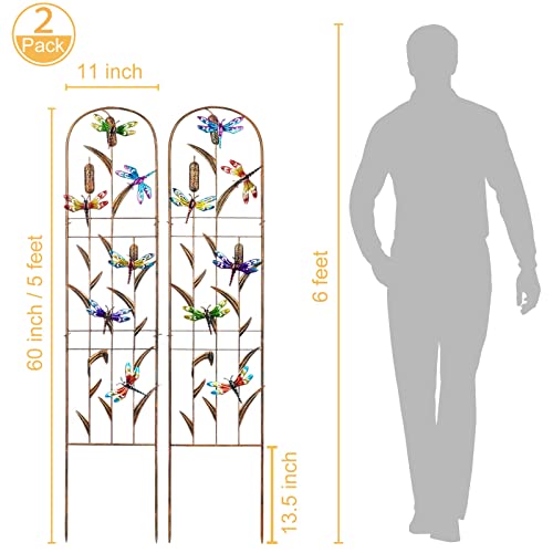 2 Pack Metal Garden Trellis for Climbing Plants - style: Dragonfly