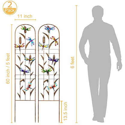 2 Pack Metal Garden Trellis for Climbing Plants - style: Dragonfly