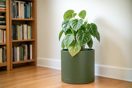D'vine Dev Plastic Planter Pot with Saucer, 12 in, Olive, 74-X-I-3 - color: Olive, size: 12 Inch