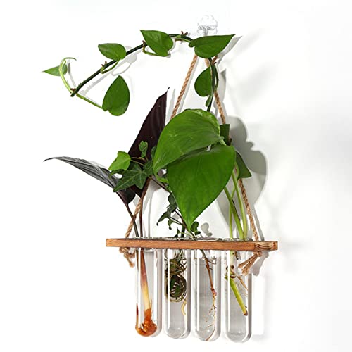 Wall Hanging Plant Terrarium, 4 Test Tube Propagation Station, Glass Planter for Propagating Hydroponic Plants, Mini Flower Vase with Wooden Stand, Home Garden Wedding Decoration (Wood Color) - color: Wood Color